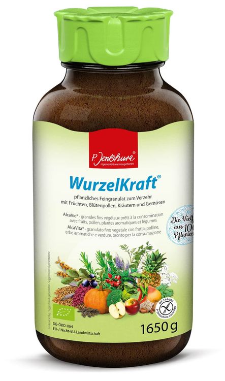 Vorschaubild 1